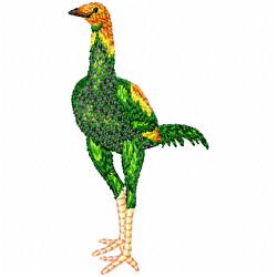 Chickens And Roosters Embroidery Design 9 Chickens And Roosters Embroidery Design 9